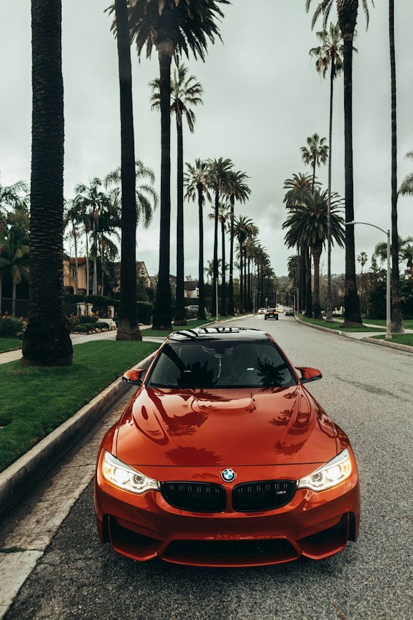 Brio